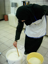 Cheese Making