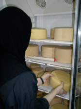 Cheese Making