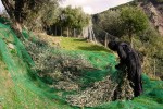 Από τα Διακονήματά μας