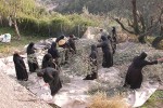 Από τα Διακονήματά μας